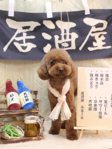 20240621きなこちゃん